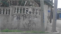 "Patria y Vida" su impacto